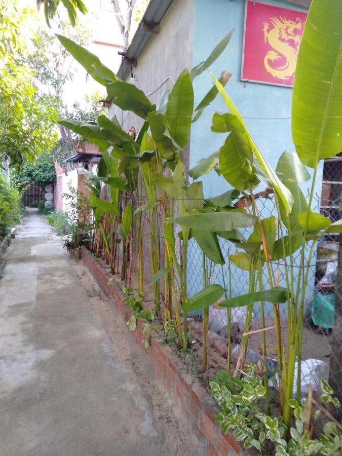 Pink Beach Homestay Hoi An Exterior photo